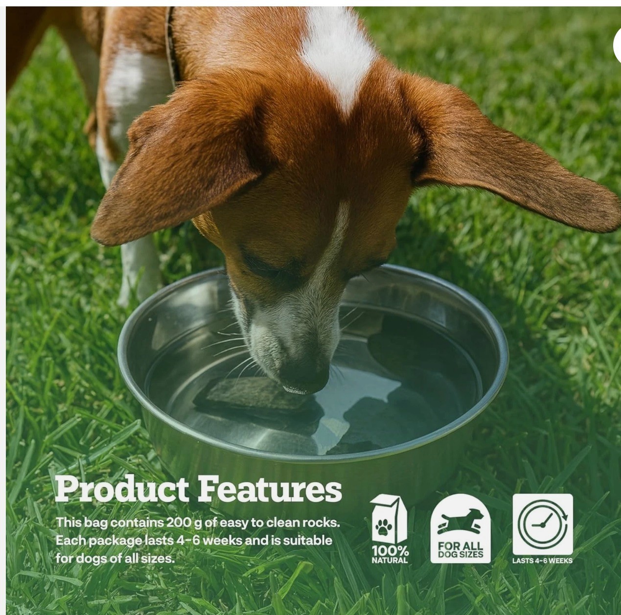 B20) NEW Dog Rocks for Urine Burning Grass 200g 100% Natural