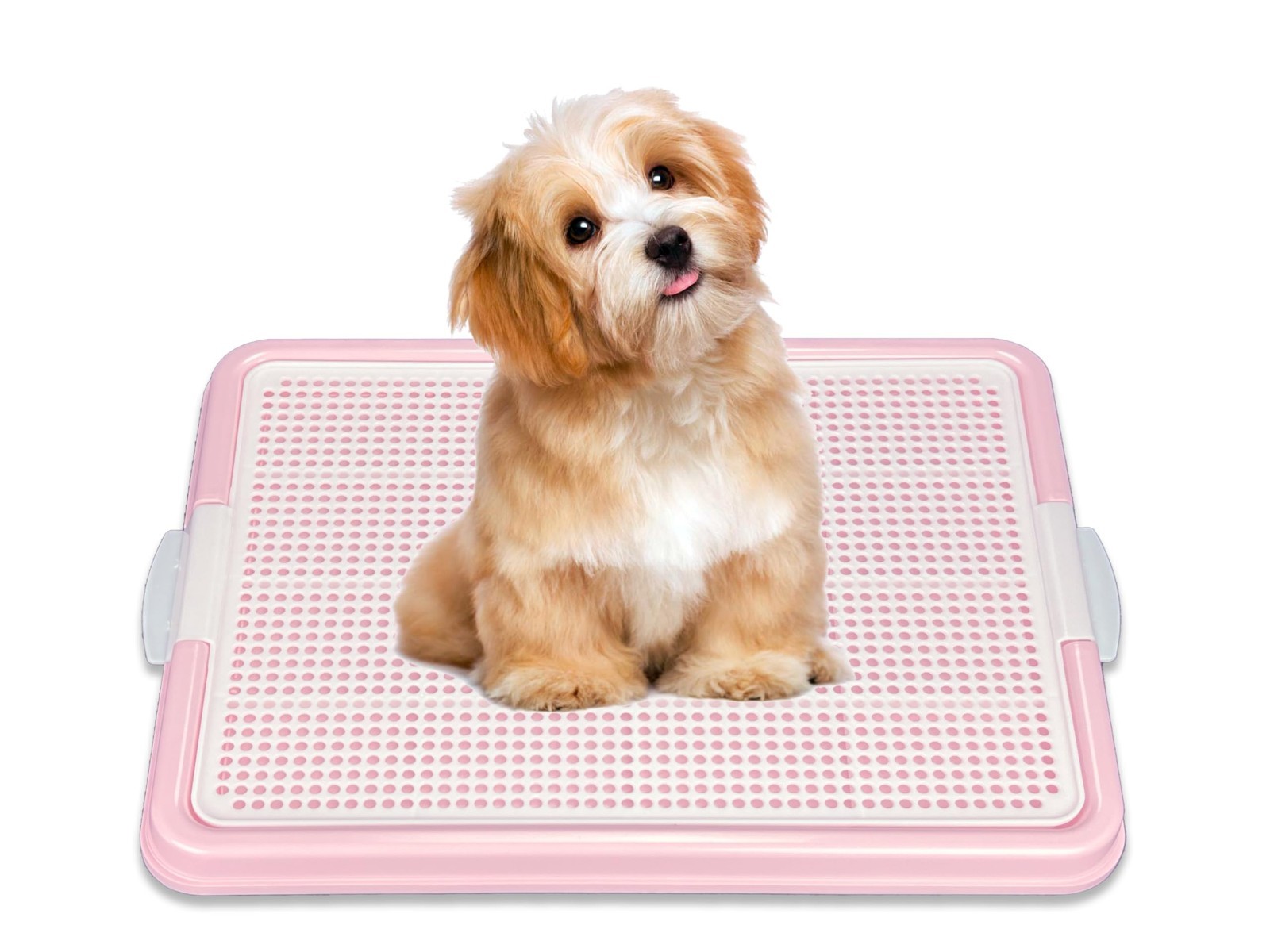 Puppy Potty Training Pad Holder Tray, Snap Lock Design, 22.5″x16.5″, 4 Colors