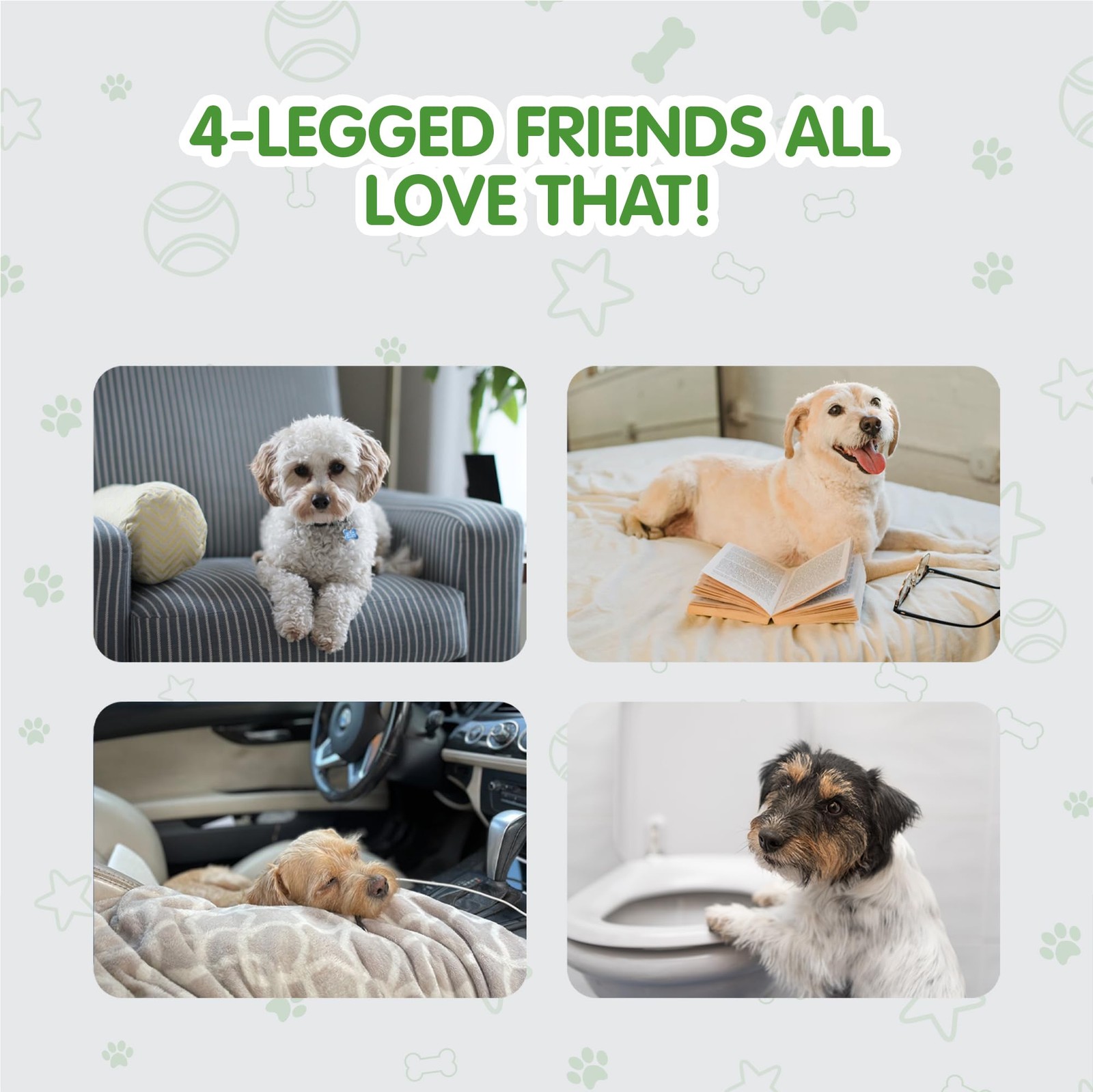 COCOYO Best Value Dog Training Pads Giant Size | Pee Gigantic XXXL, White
