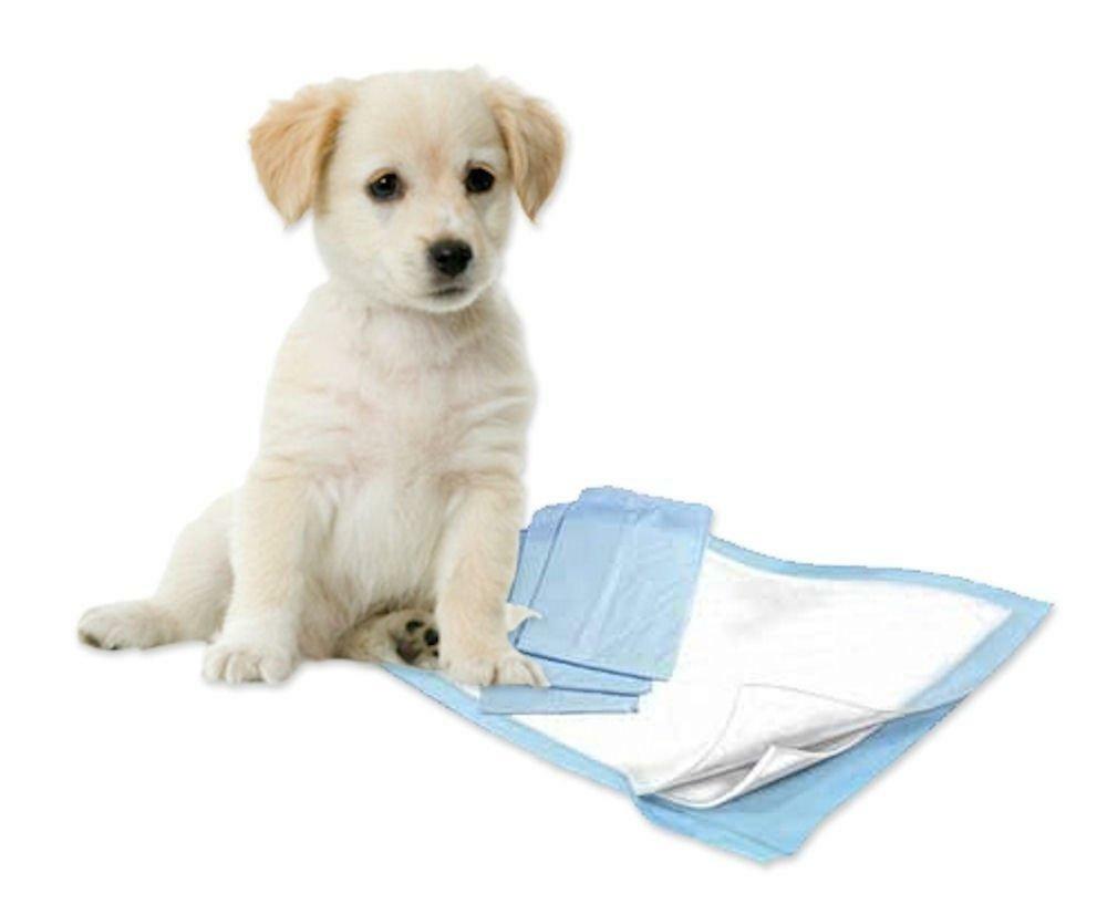 300 23×36″ Pishie Lightweight Economy CHEAP Puppy Dog Training Pee Piddle Pads