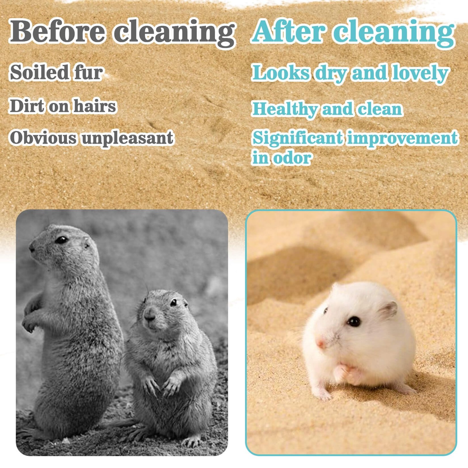 Sukh Hamster Desert Sand 15OZ – Fine Bath for Reptile 15 OZ, Brown