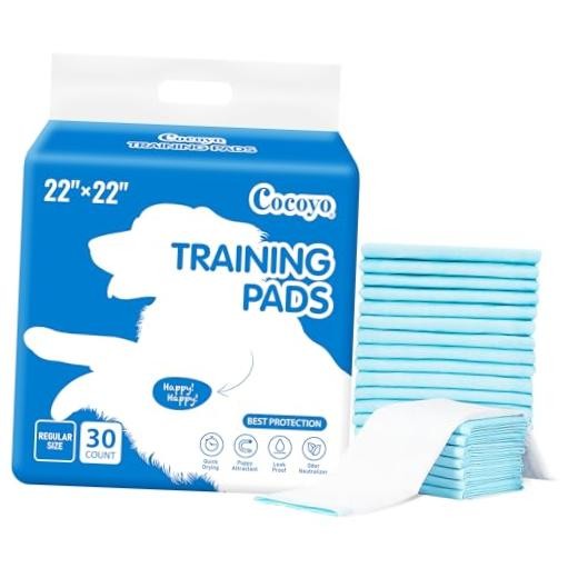 Best Value Training Pads Count Regular Size (22″x22″), 30 Count (Pack of 1) 30