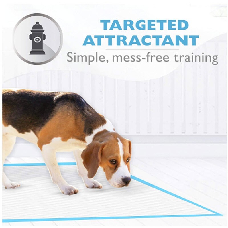 Four Paws Wee Wee Training Pads Disposable Puppy Smaller Dogs Absorbent 28 Count