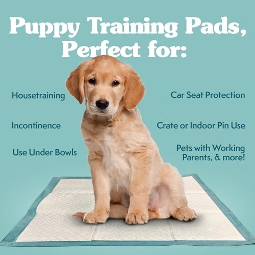 Simple Solution 11268 XL Pee Pads for Dogs 28×30 100 Count
