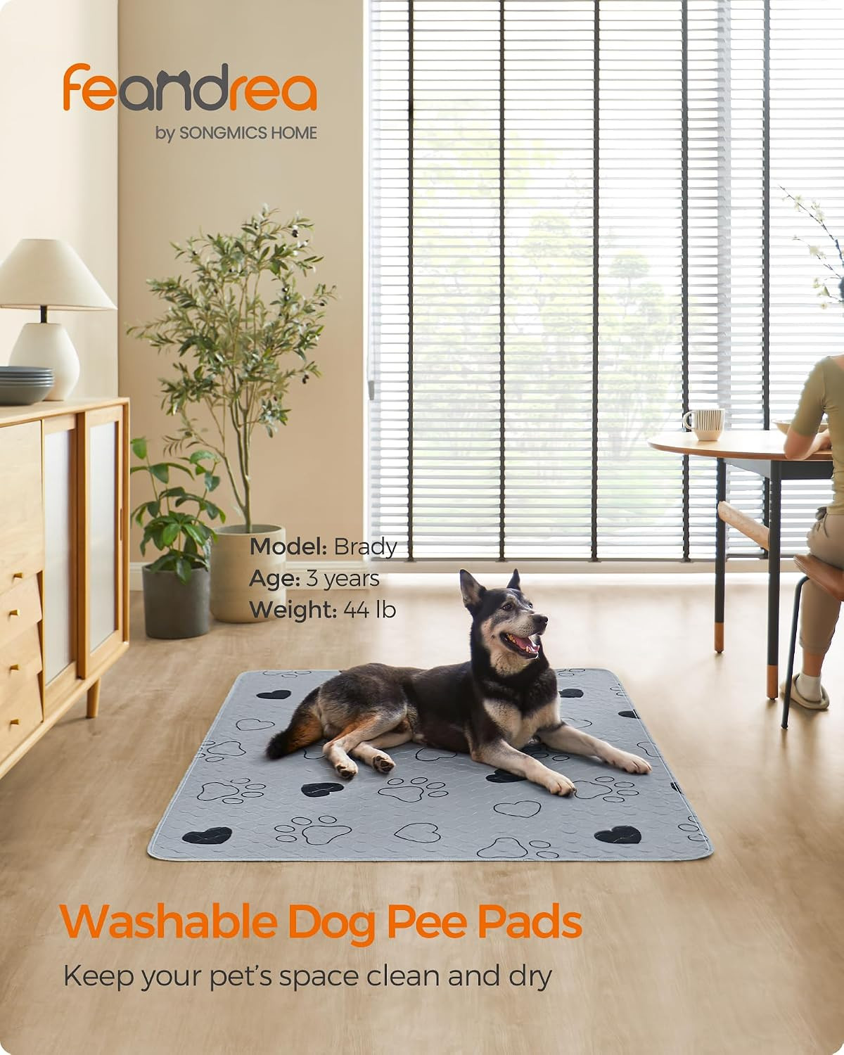 Washable Dog Pee Pads, 2 Pack, Reusable Dog Pads, 60 x 48 Inches, XXL, Waterproo