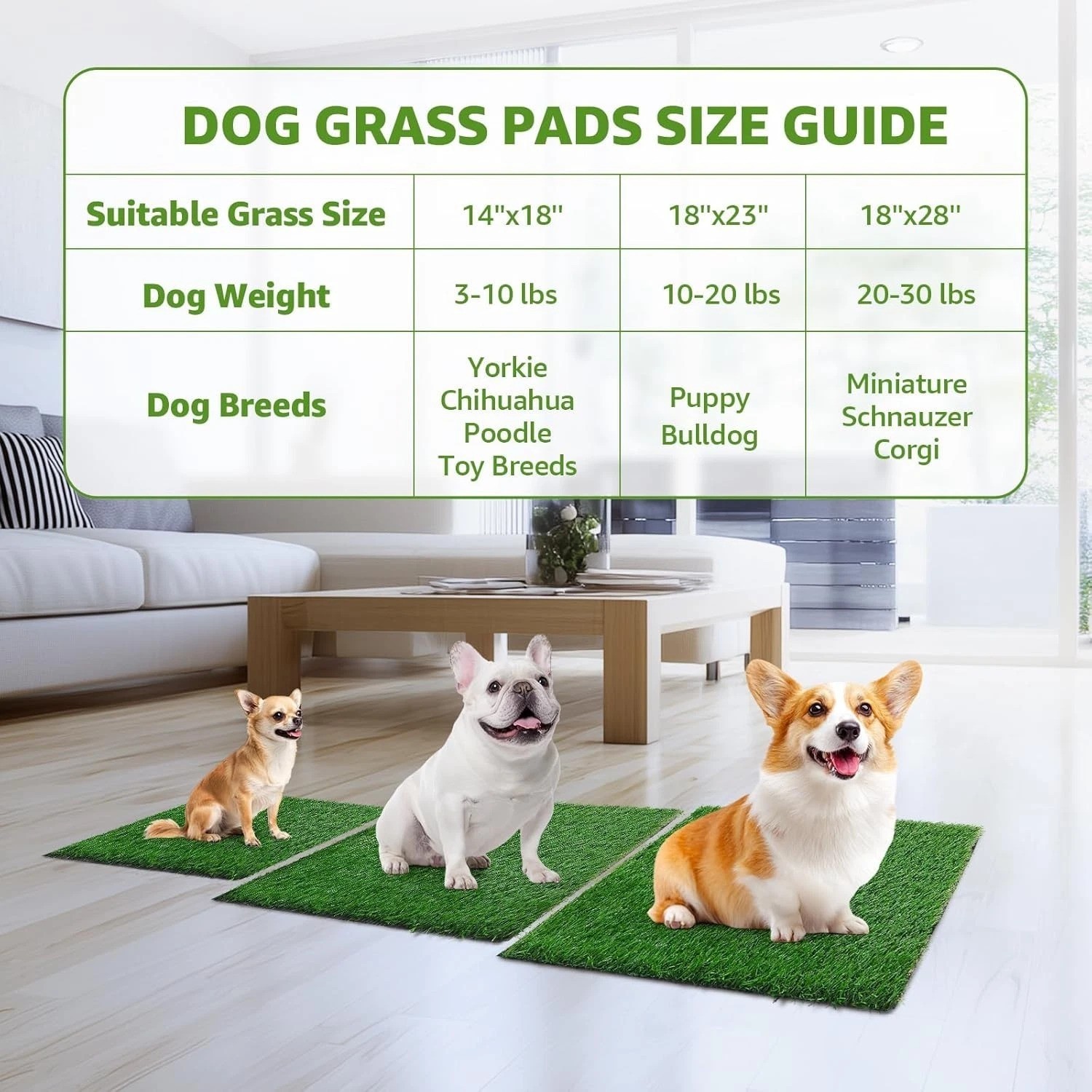 Dog Grass Pee Pads 2 Pack – Artificial Grass for Potty Tray