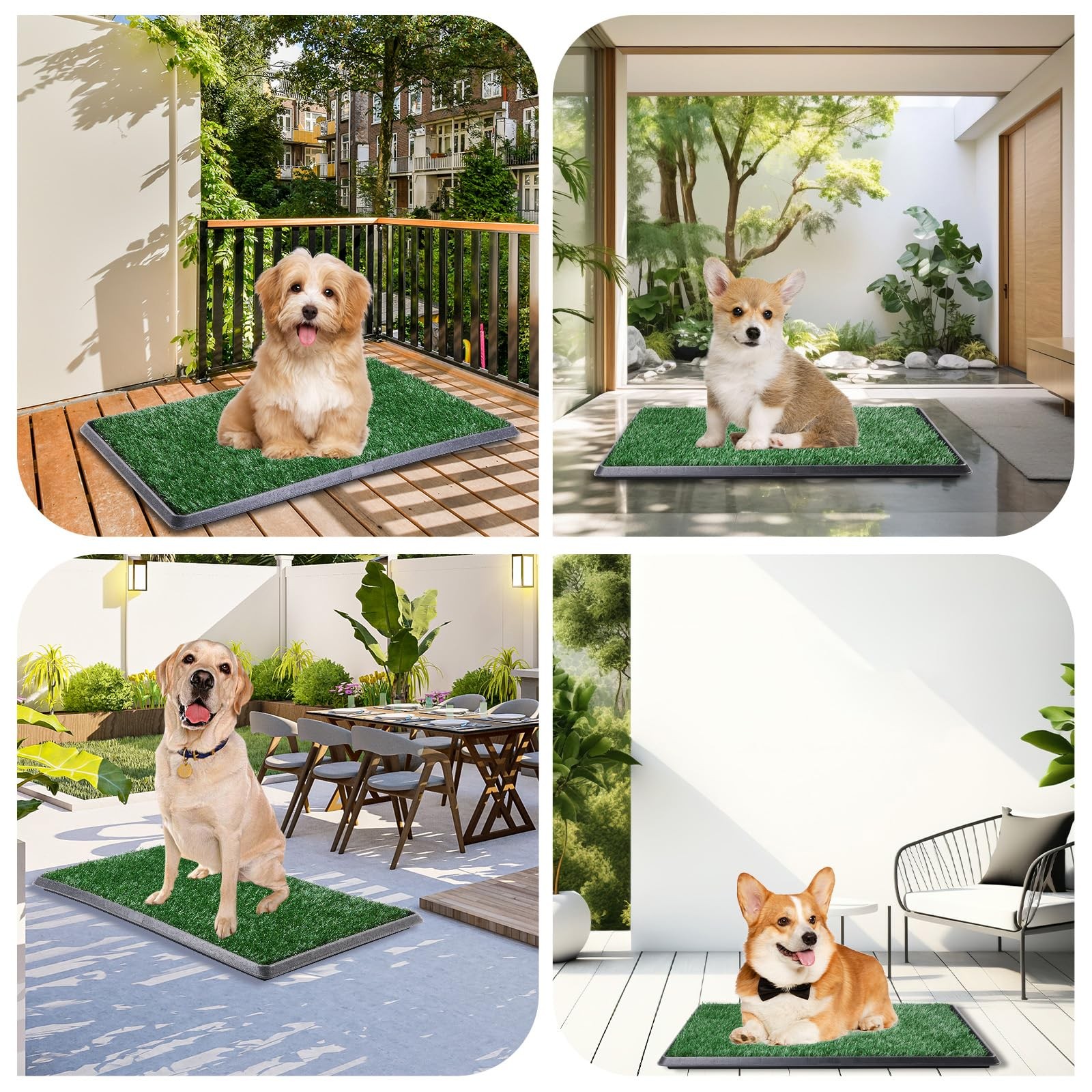 LOOBANI Dog Grass Pad with Tray – Litter Box Potty 16*20inch, Green
