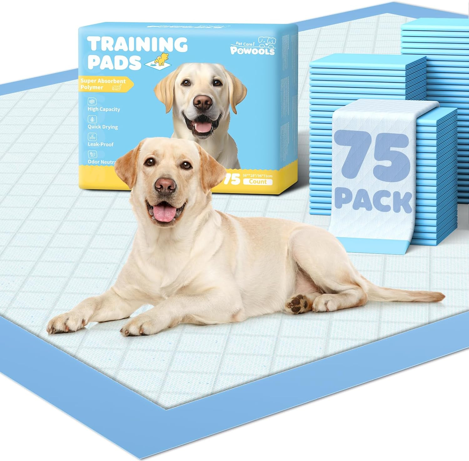 75-Pack Xx-Large Puppy Pads – 38″ X 28″ Pee Pads for Dogs Potty Training with Le