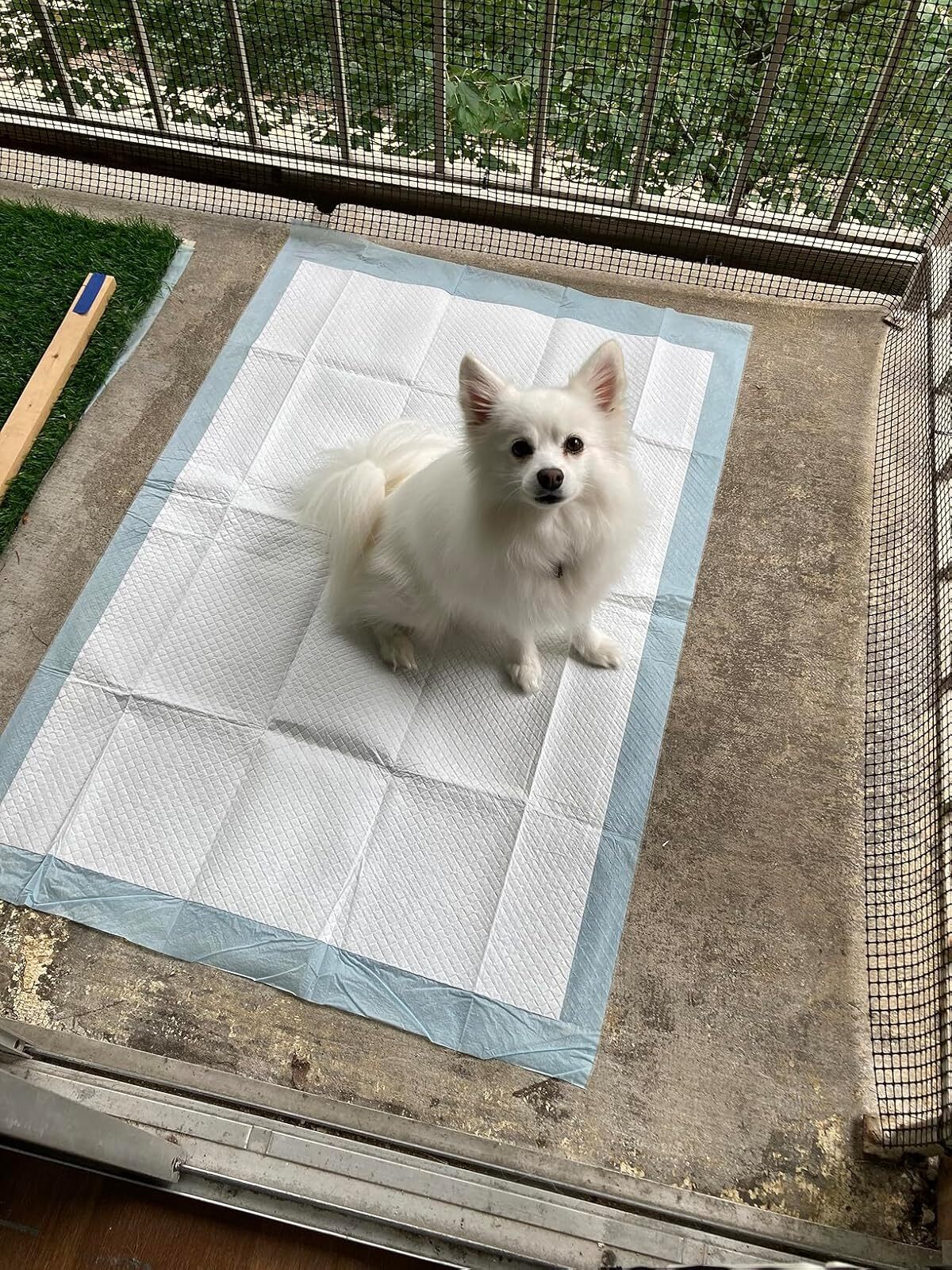 30Ct Dog Training Pads Giant Dog Pee Pads XXXL Super Absorbent Puppy Pads 30×45″