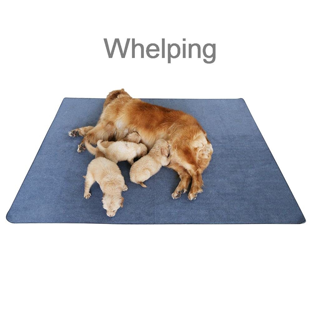 Waterproof Non Slip Washable Dog Training Pads 72″x72″ for Whelping Litter Pads