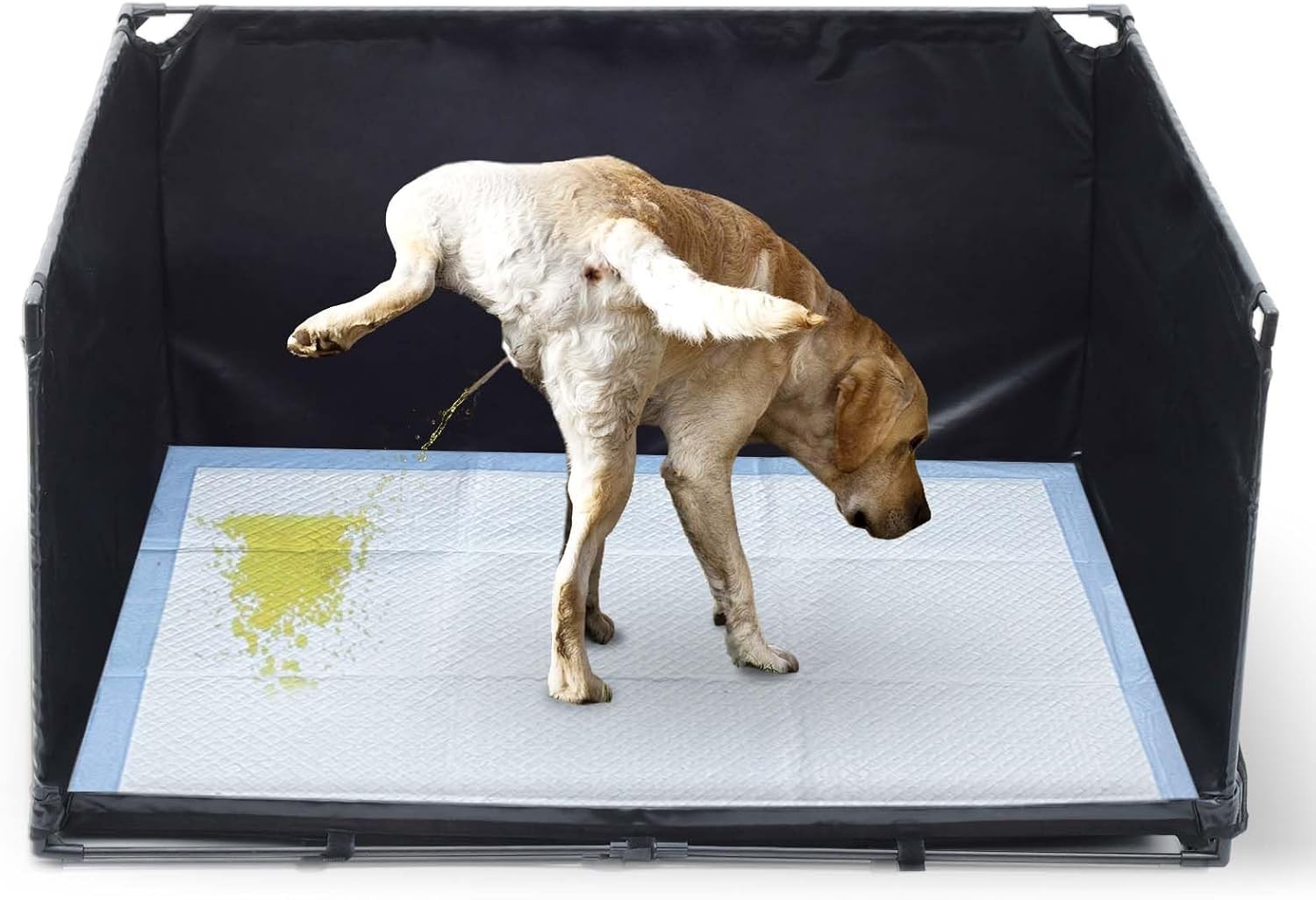 Dog Litter Box Indoor Medium Dogs Pee Pad Holder W/ High Walls