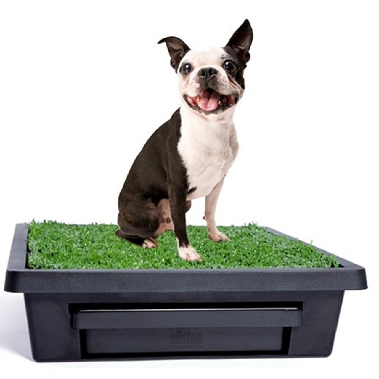 PetSafe Pet Loo Portable Dog Potty, Alternative to Puppy Pads – Small PWM00-1449
