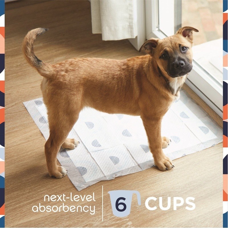 Smart Prints Dog Pads 5 Layer Odor Control Absorbent Disposable Fragrance 75ct