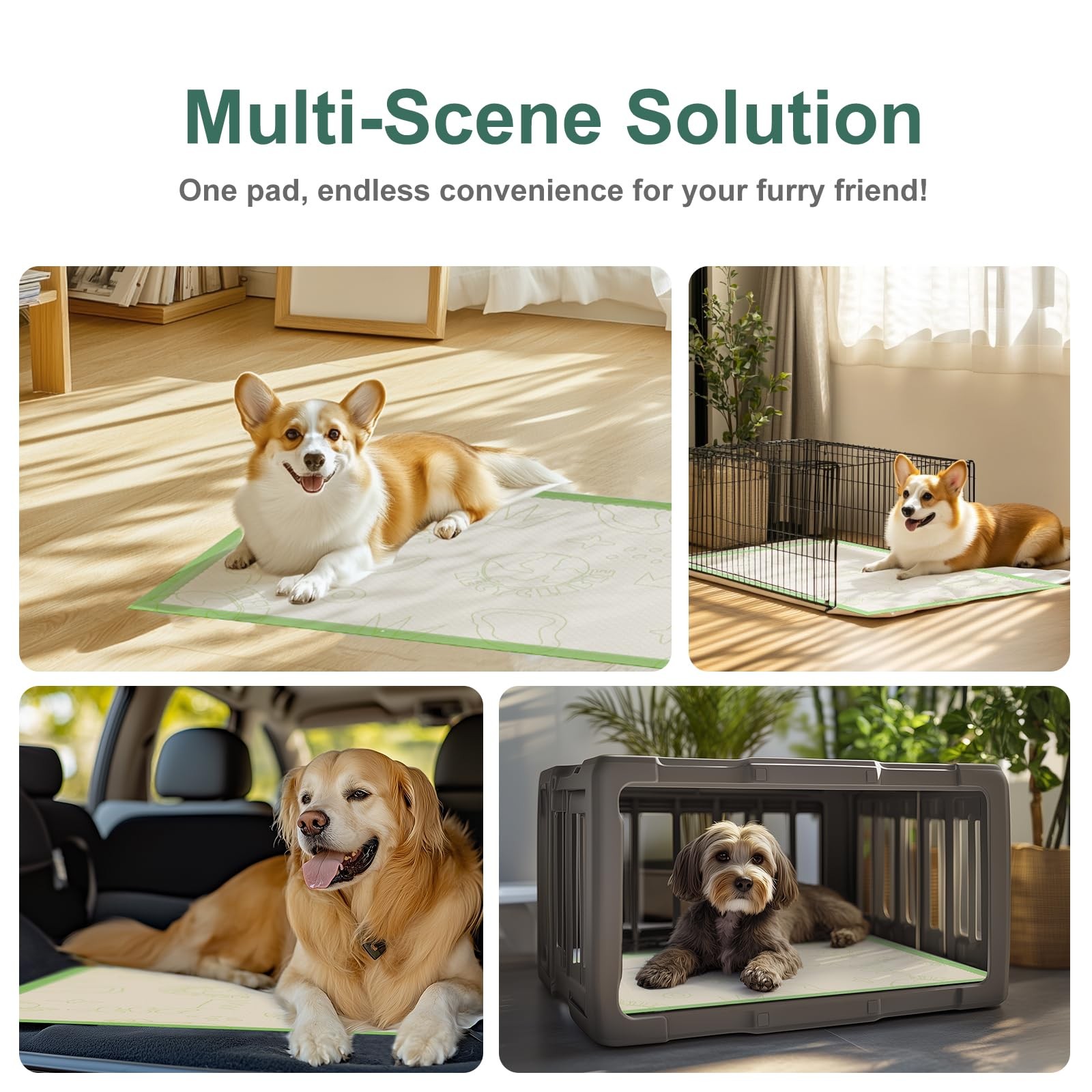 Dog Pee Pads 50Counts, 24″X36″ Disposable Pee Pads for Dogs with 4 Sticky Cor…
