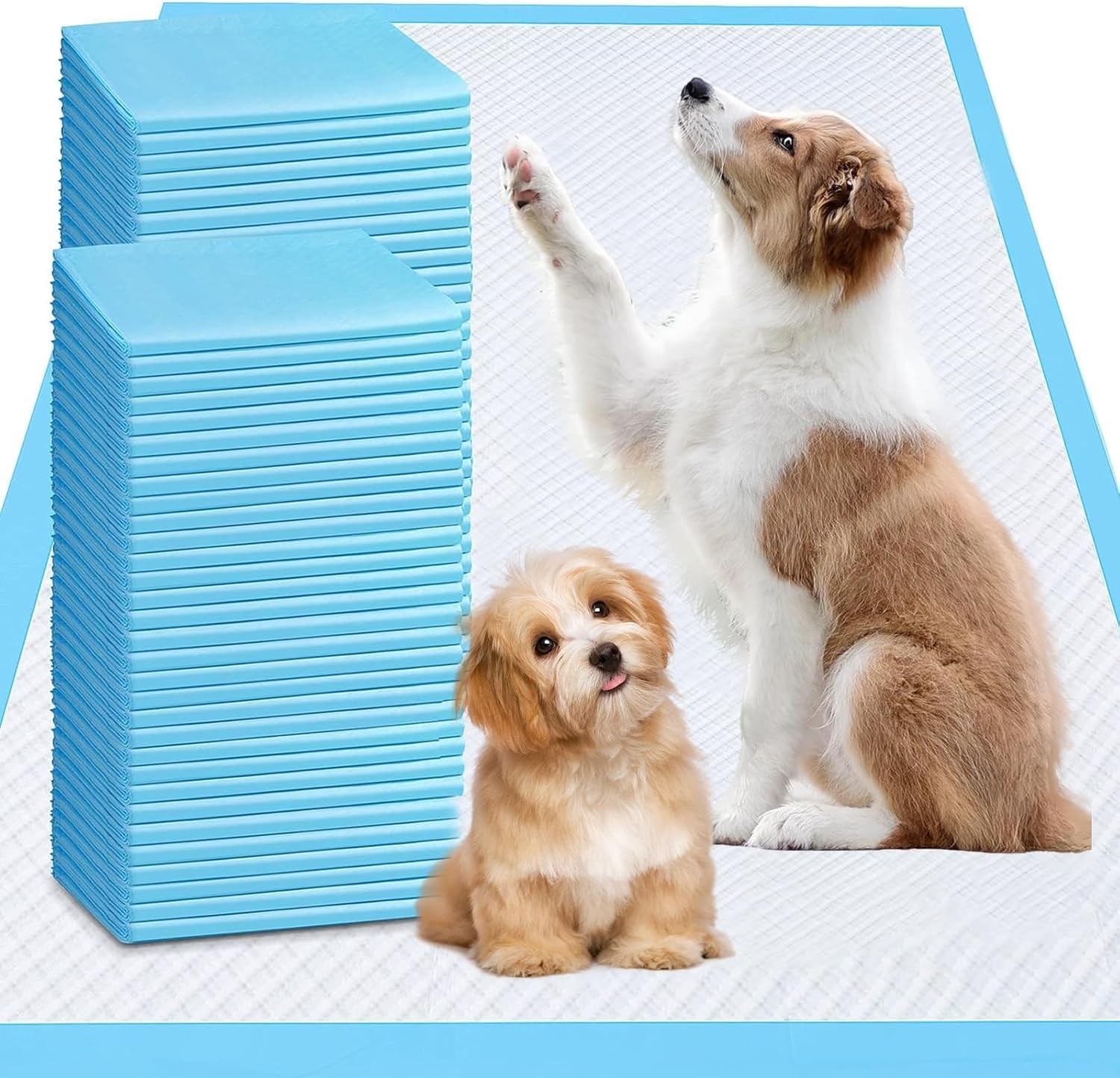 XXXXL Puppy Pee Pads Dogs 31″x55″ 40 Count Extra Large Dog Pee Pads Leak-Proof &