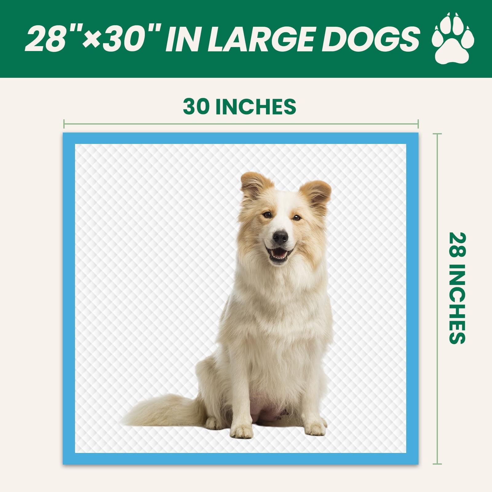 100 Count Large Dog & Cat Puppy Pee Pads – 30″ x 28″ (100 Count), Blue