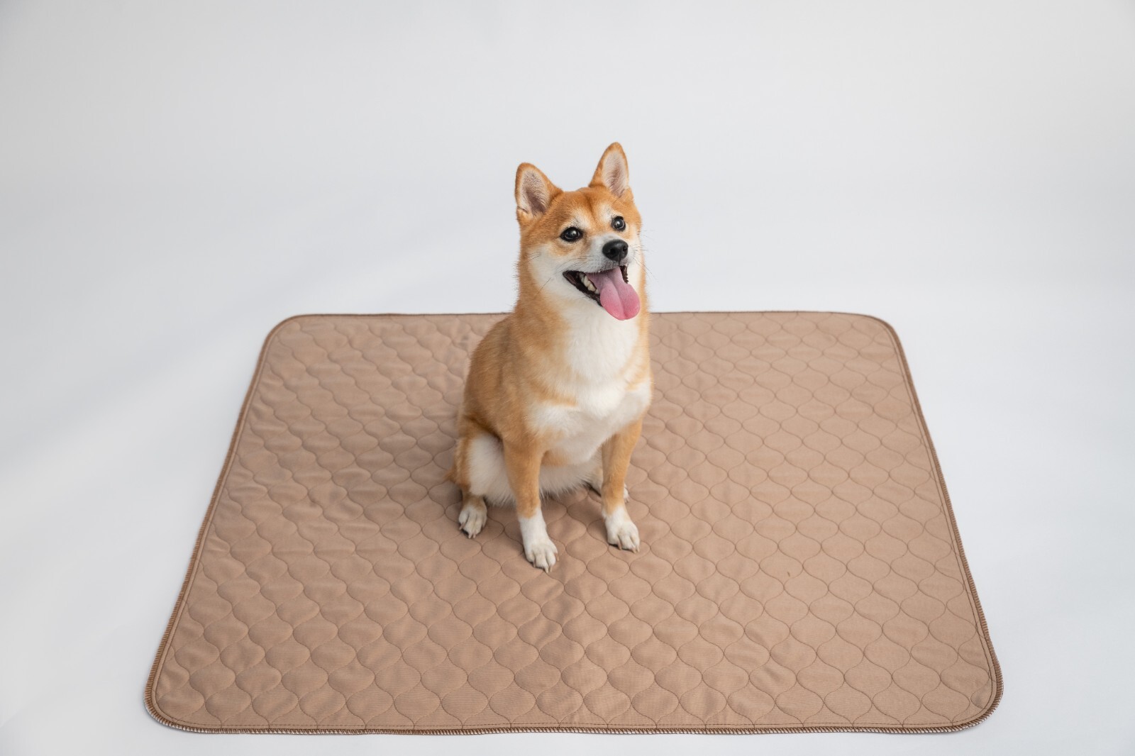 EZwhelp Pee Pads for Dogs – Dog & Puppy Training Pads – Washable, Reusable