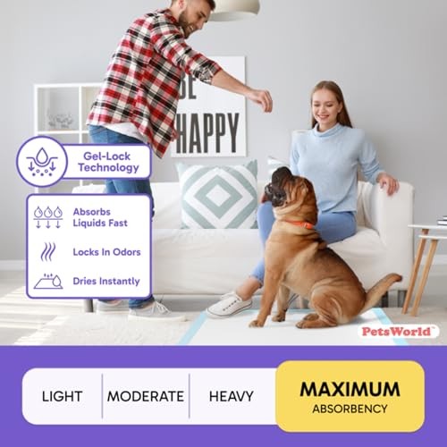 Giant Dog Potty Pads 36×36 in Ultra Absorbent Leak-Proof 200 Count