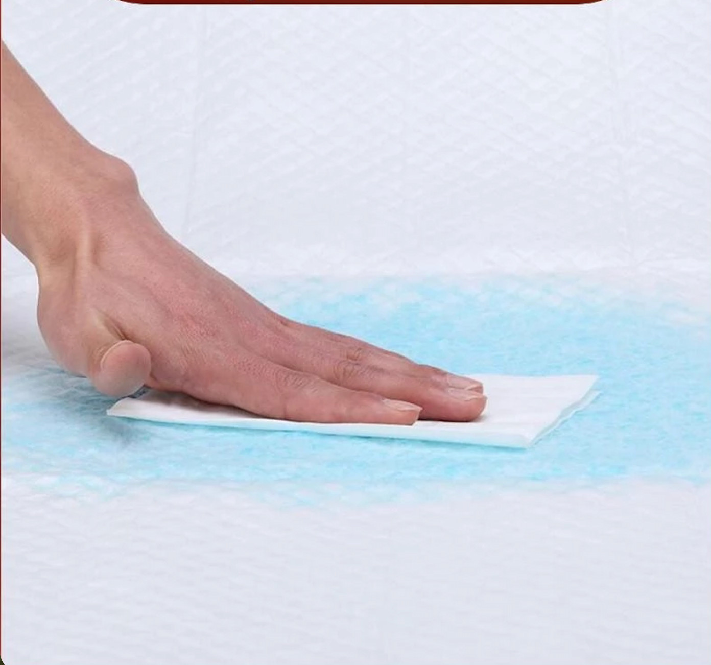 Ultra Absorbent Small Pee Pads Pet Underpads Pet Training 10 Set “45x60cm”