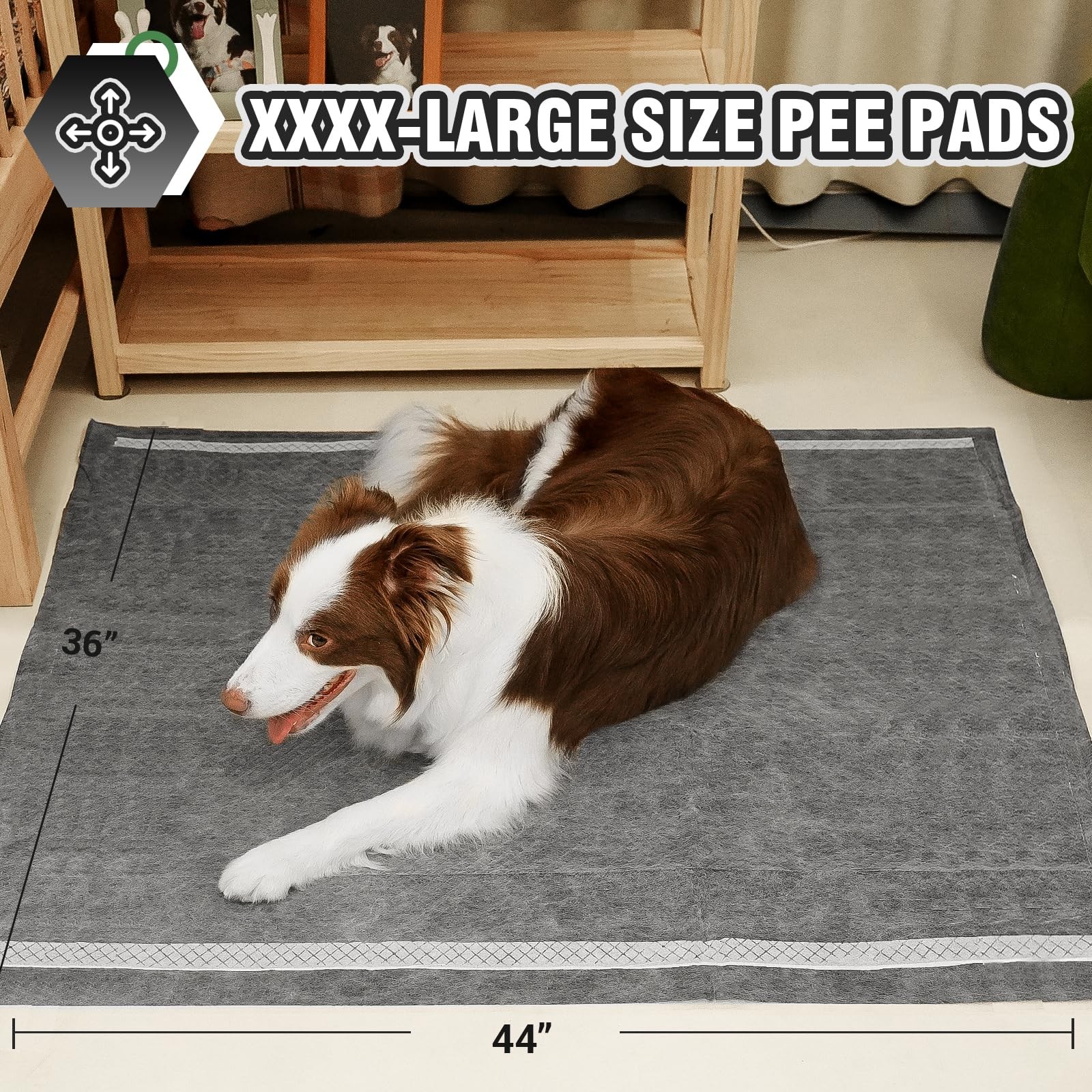 IMMCUTE XXL Puppy Pads 36″X44″, 30 Ct, JumboSize Dog Training Pads for Large …