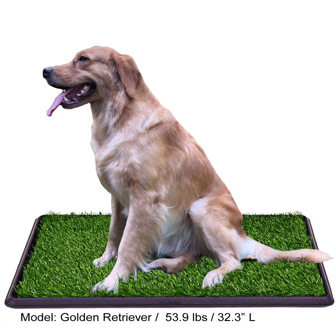 Indoor Dog Potty Pad with 3-Layer System and Tray