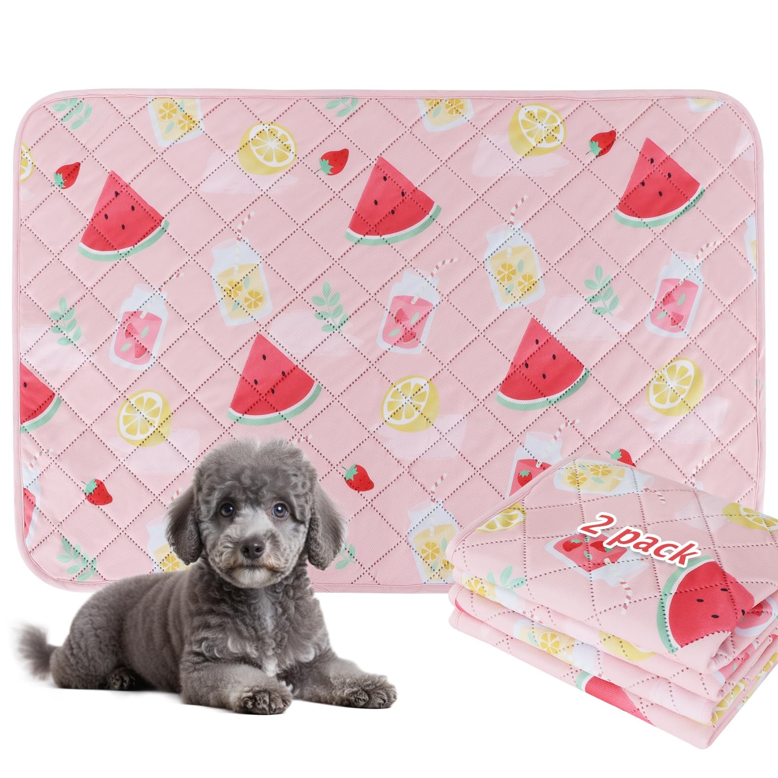 Washable Pee Pads for Dogs, 2 Pack Reusable Leakproof Puppy Wee Wee, Non-Slip…