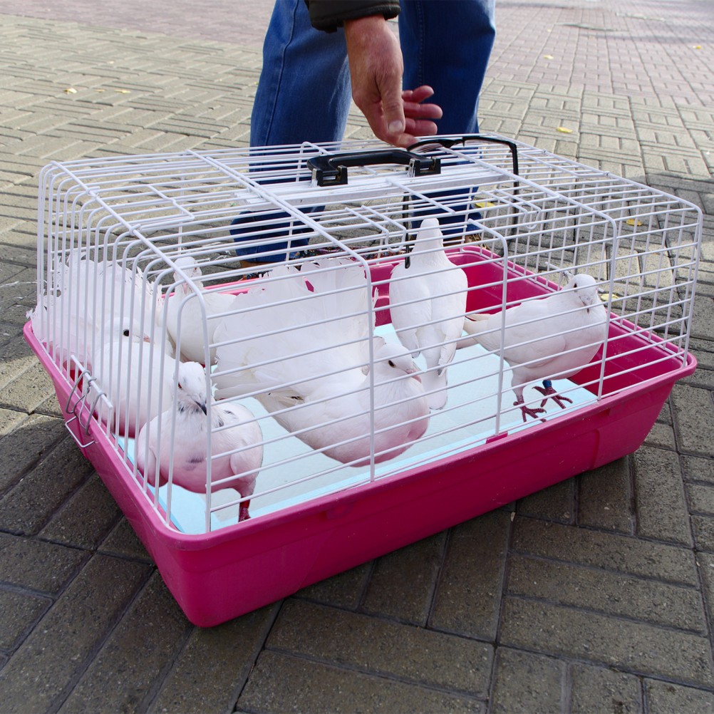 10 Pcs/1 Absorbent Cage Mat Parrot Accessory Bird Bottom Splash Pad Liner Paper