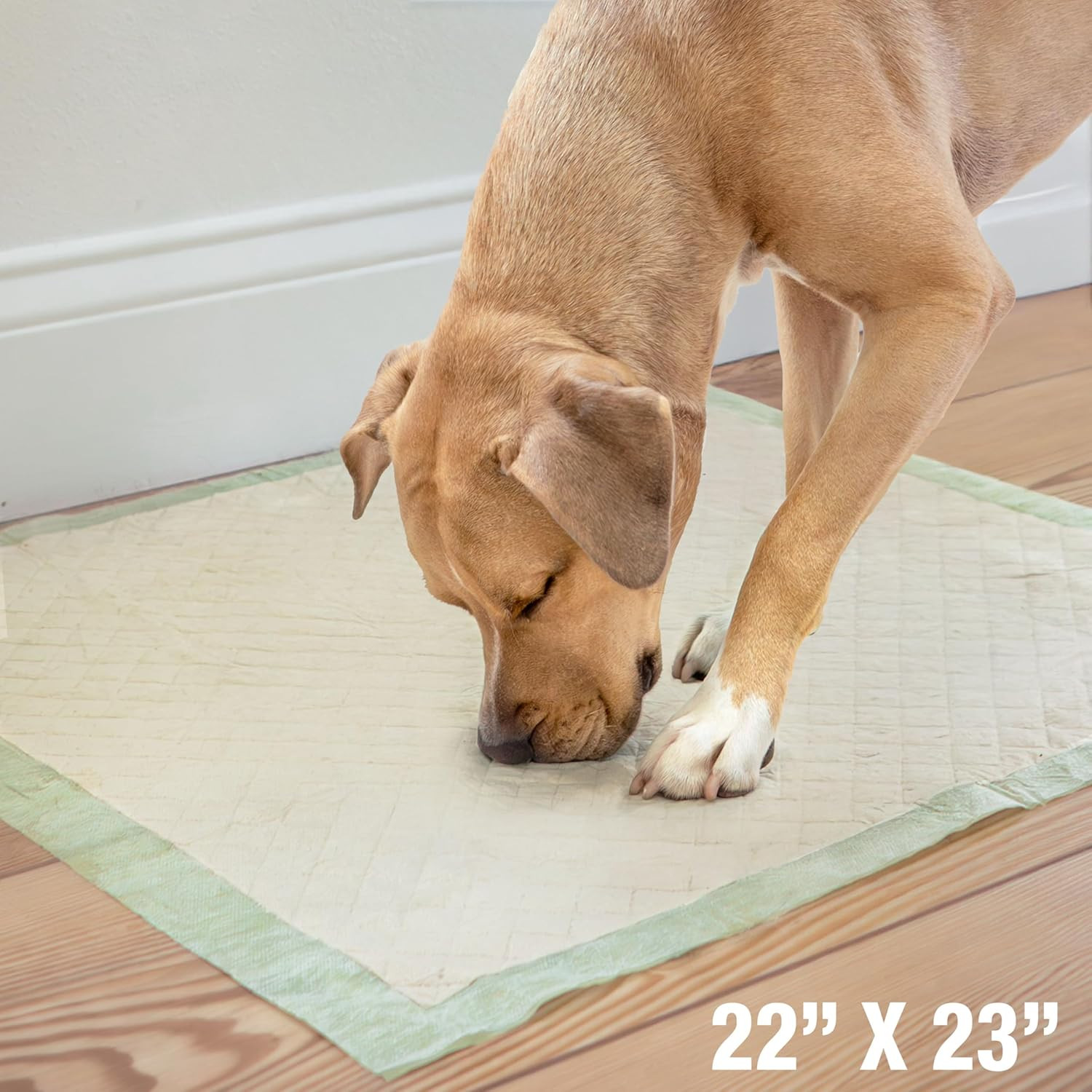 Four Paws Wee-Wee Superior Performance Bamboo Pee Pads for Dogs, Earth Friendly