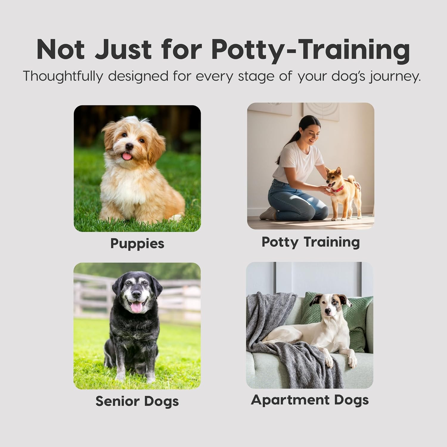 Puppy Pads 100 Count, Dog Training Pads 22″X22″, Super Absorbent Leakproof Pee P