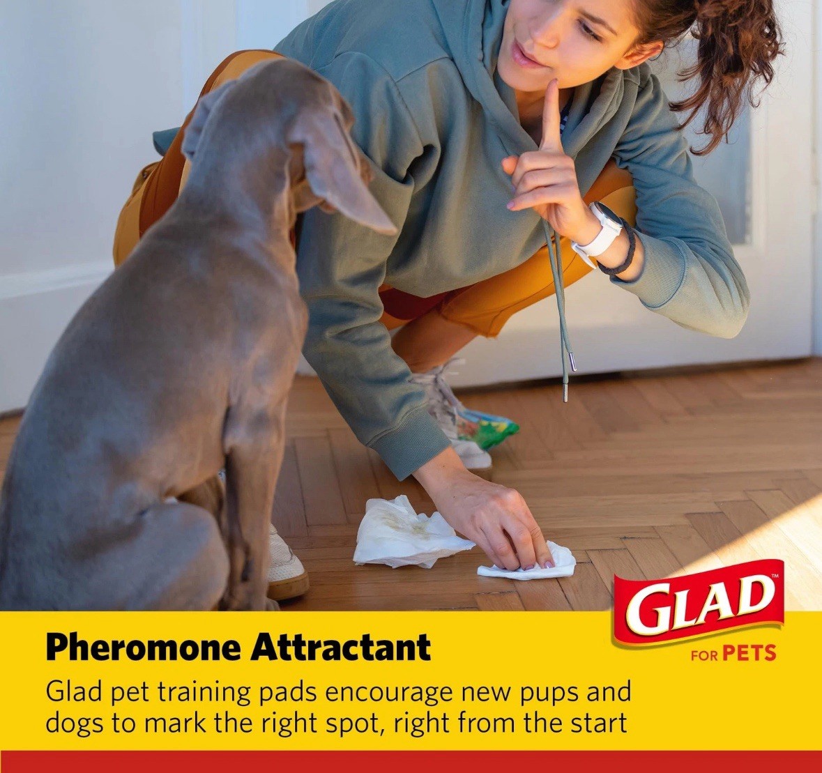 Glad For Pets Extra Large Charcoal Dog Training Pads – Absorbent FAST SHIPPING