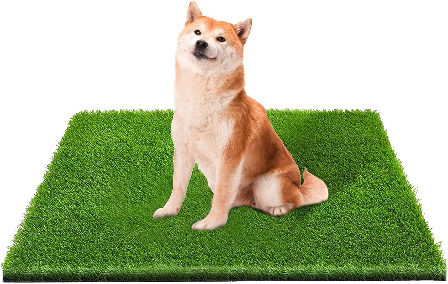 Artificial Grass, Professional Dog Grass Mat, Potty Training Rug