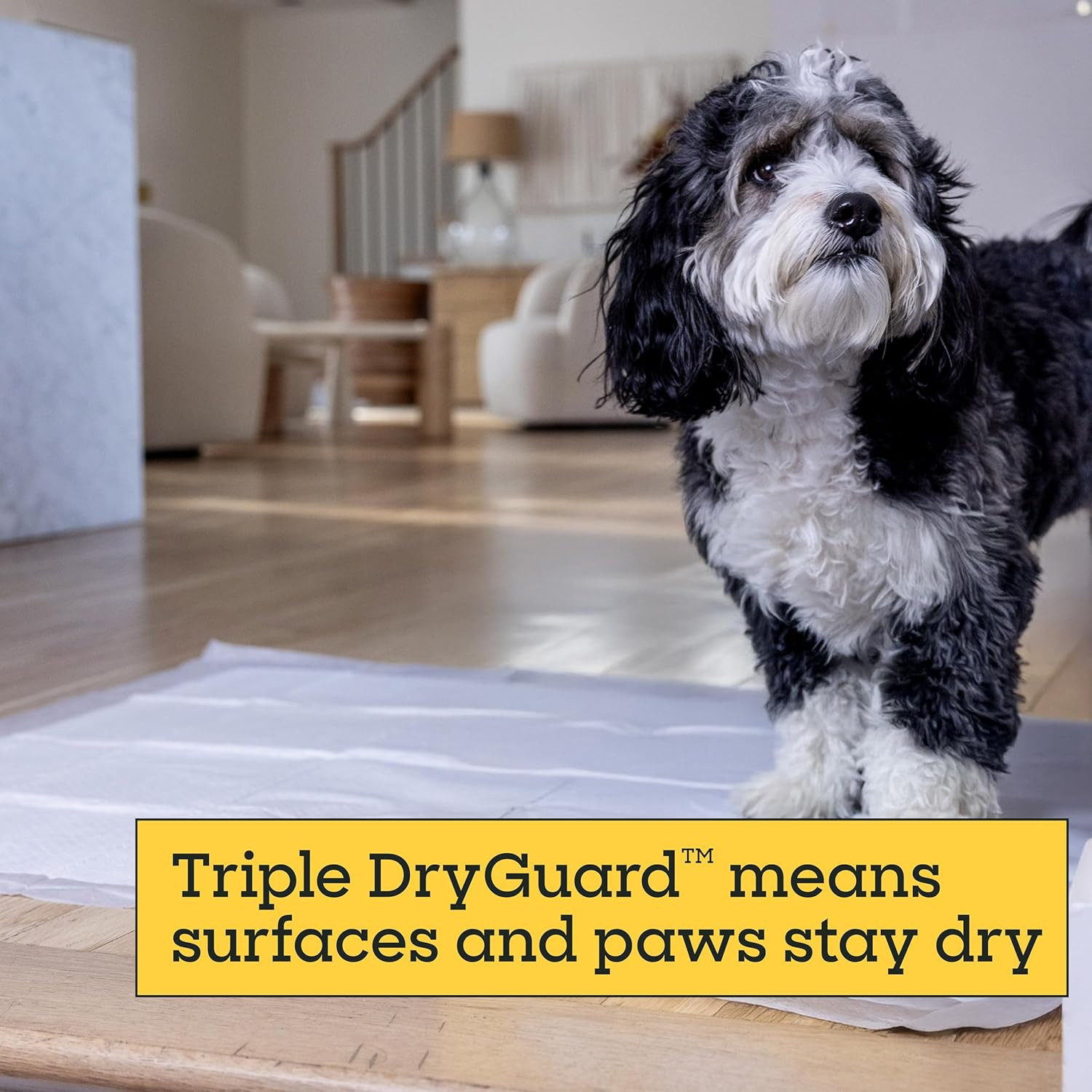 Heavy Duty 3XL Puppy Pads for Dogs, Potty Training Pee Pads, 52 Count, 36″ X 36″