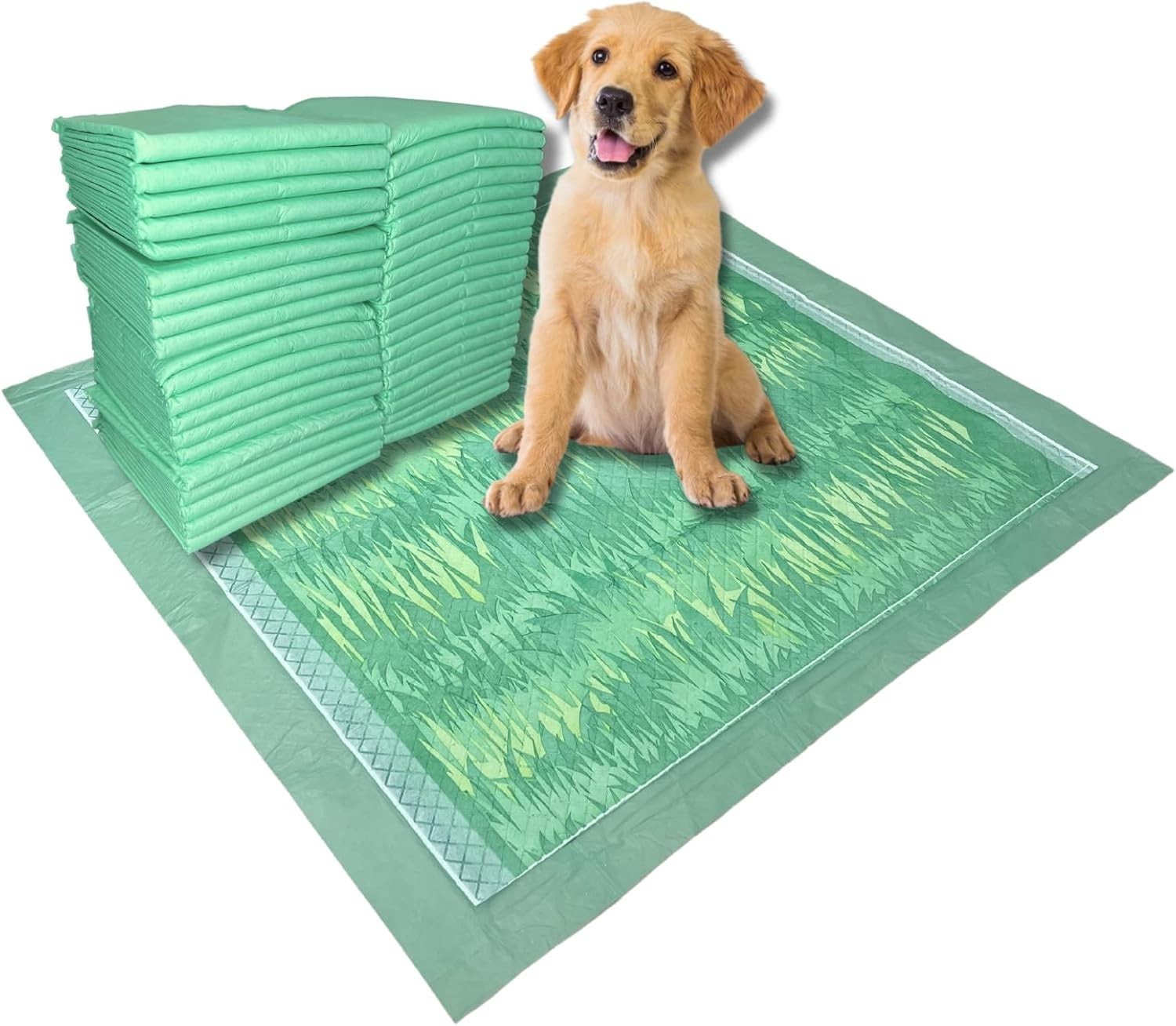 Pet Training Pads for Dogs 24×24 Ultra-Absorbent Puppy Pads Large 40 Ct