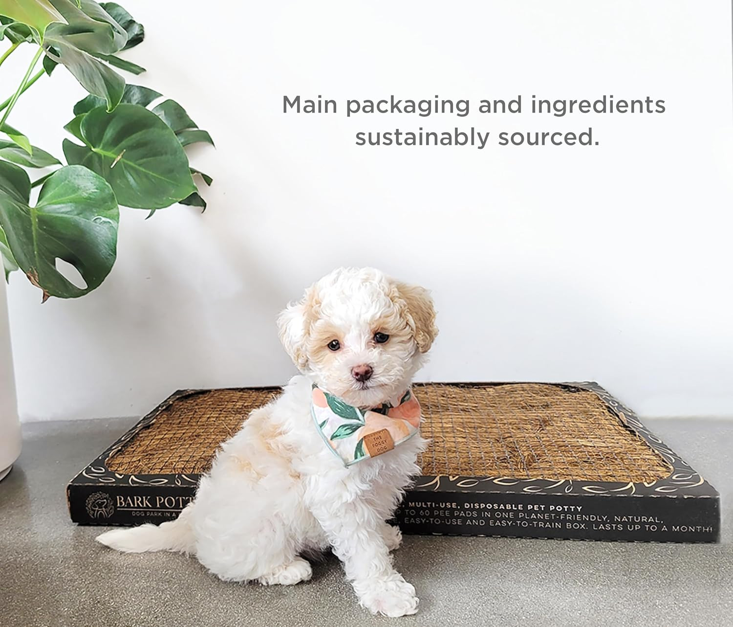 Large Dog Potty Training Box – Disposable, Long-Lasting Pee Pad Litter Replaceme