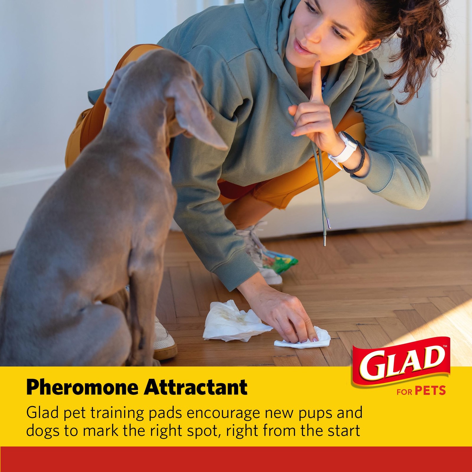 Glad for Pets Extra Large Charcoal Training Pads Dogs X-Large,