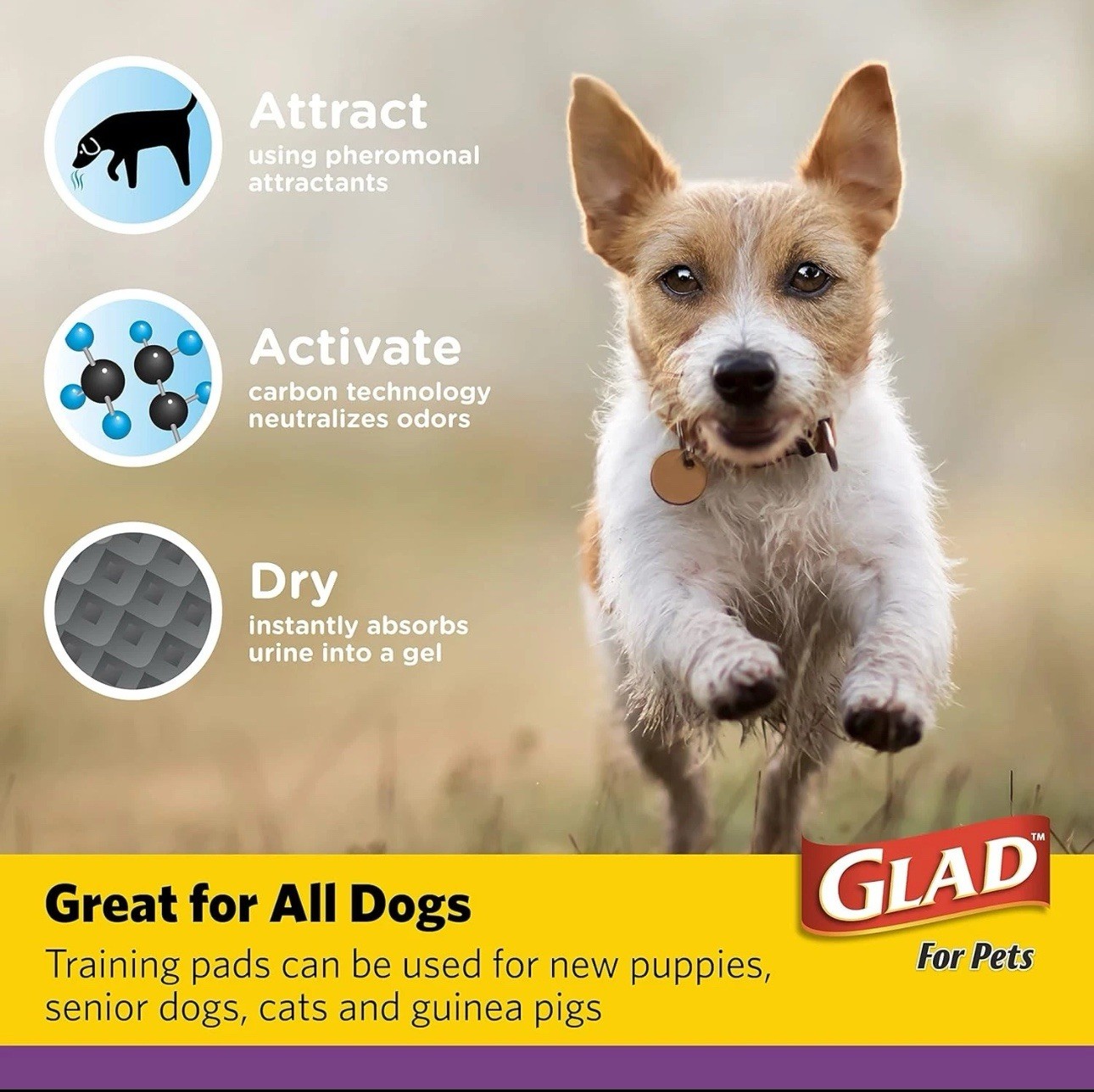 Glad Jumbo 28X30 Charcoal Disposable Dog Training Pads 30Count Super Absorbent