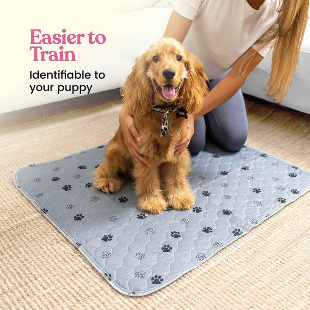 Washable Pee Pads for Dogs – Super Absorbent Reusable Puppy Pads 2Pack