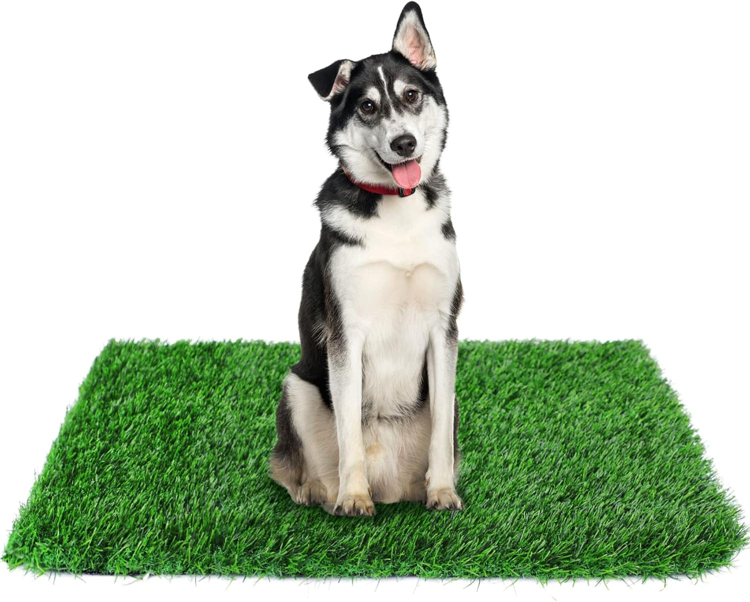 GLOBREEN 34″ X 23″ Fake Grass Pee Pad for Dogs Potty Training Turf Pets Mat – In