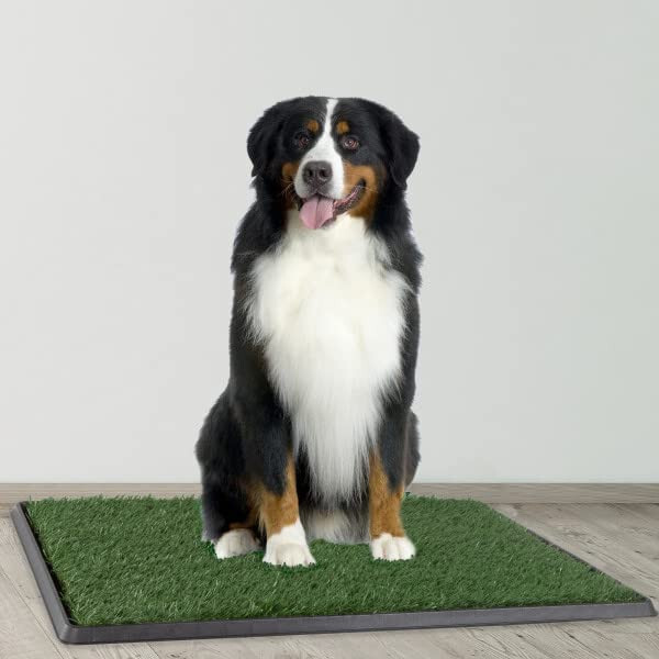 Grass Puppy Pee Pad for Dogs Pets 20×30 Reusable 3-Layer Training Potty Pad Tray