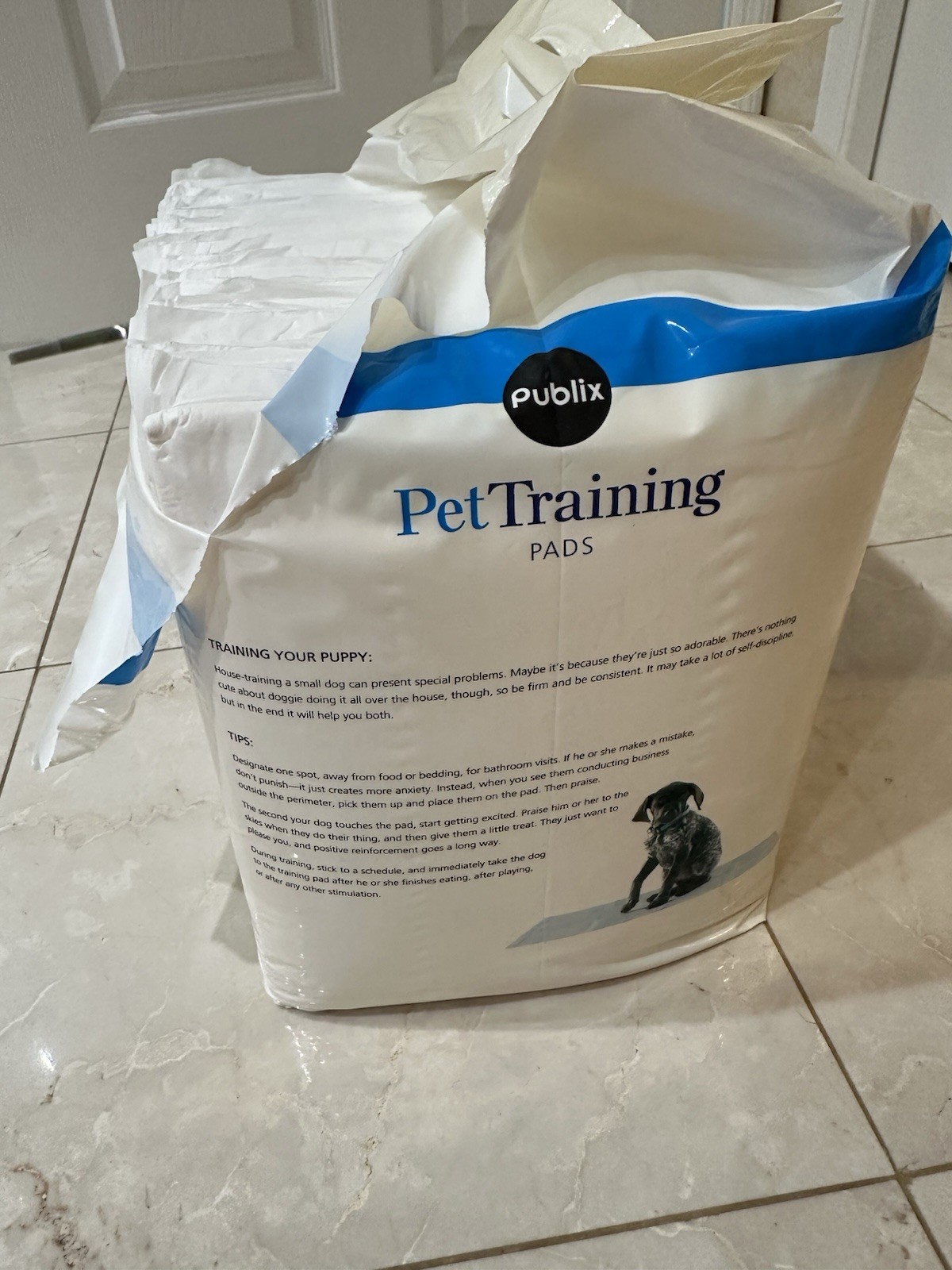 Pet Training Mat