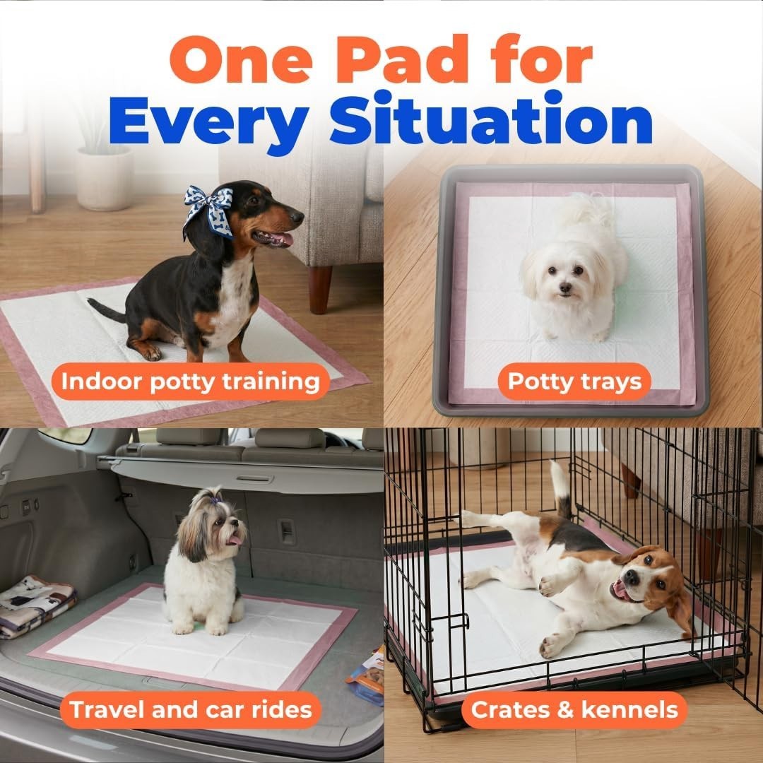 Stylish Baby Pink Puppy Pee Pads – Super Absorbent, 100 Count, Leak Proof