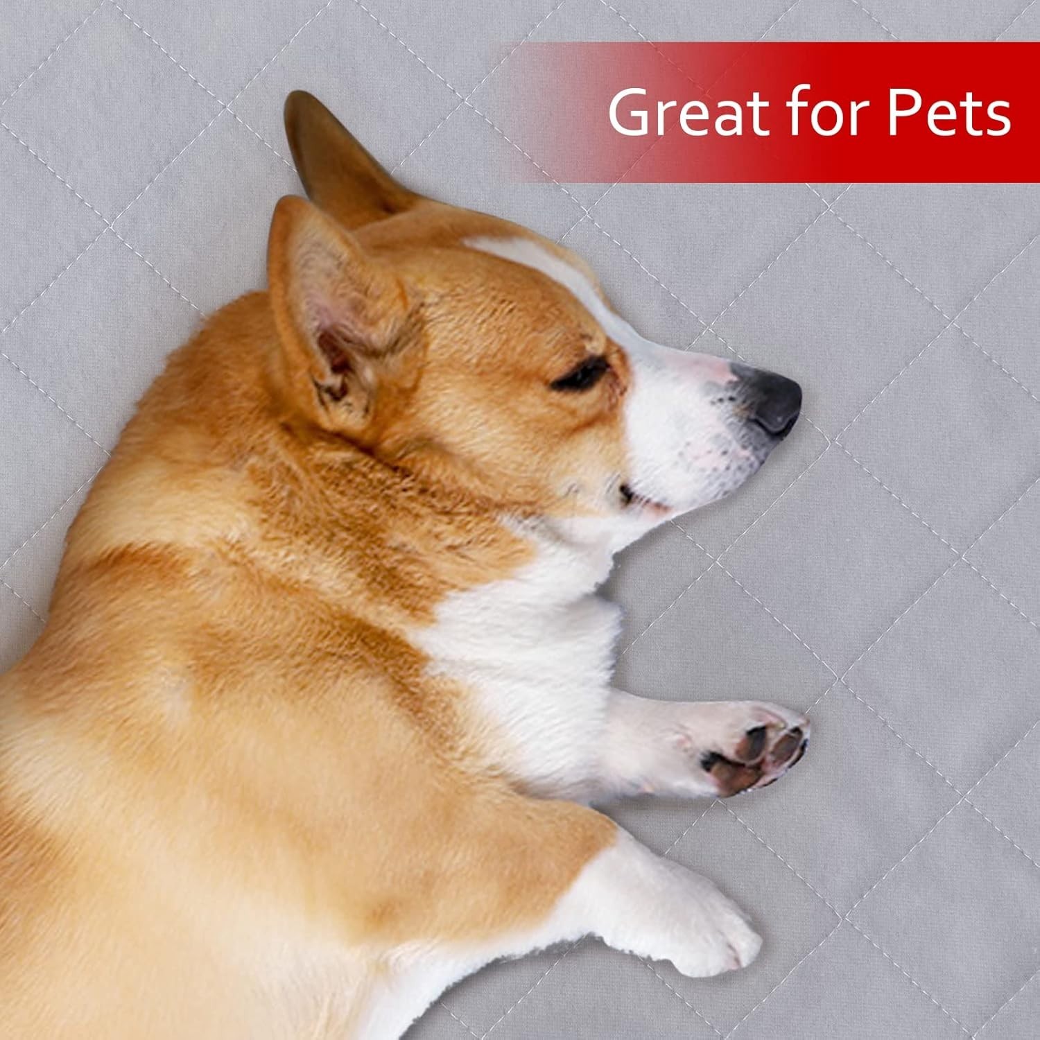 Dog Crate Mat and Washable Pee Pads for Dogs 2 Pack30″X19″, Waterproof Non-Sl…