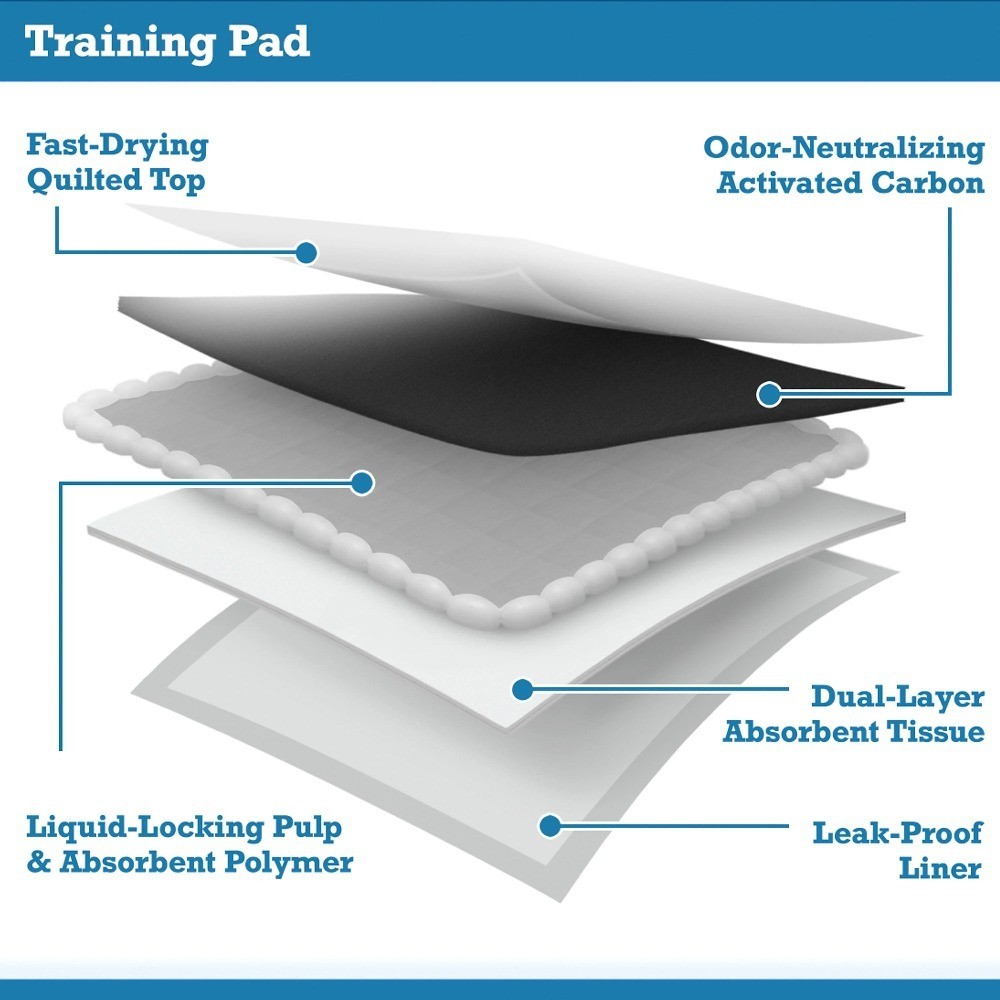 Training Pads for Dogs and Puppies Super Absorbent Leak Proof Odor Control Fast
