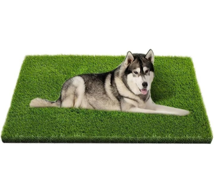 Artificial Grass, Professional Dog Grass Mat, Potty Training Rug (48×32 inch)