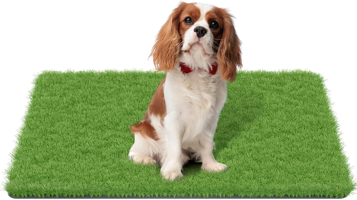 Artificial Turf Grass Dog Potty Pad with Drainage Holes 35″x24″