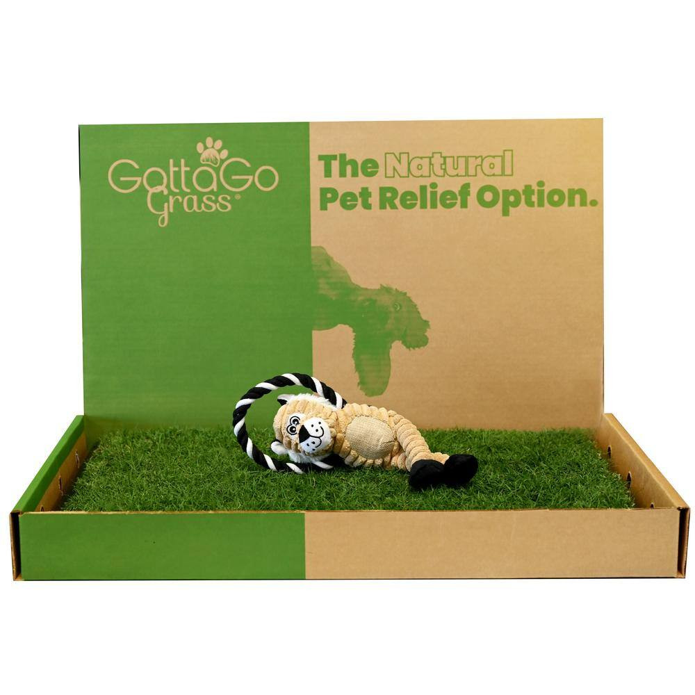 Gotta Go Grass Bermuda Potty Pad Refill plus Waste Bag Dispenser plus Squeaky To