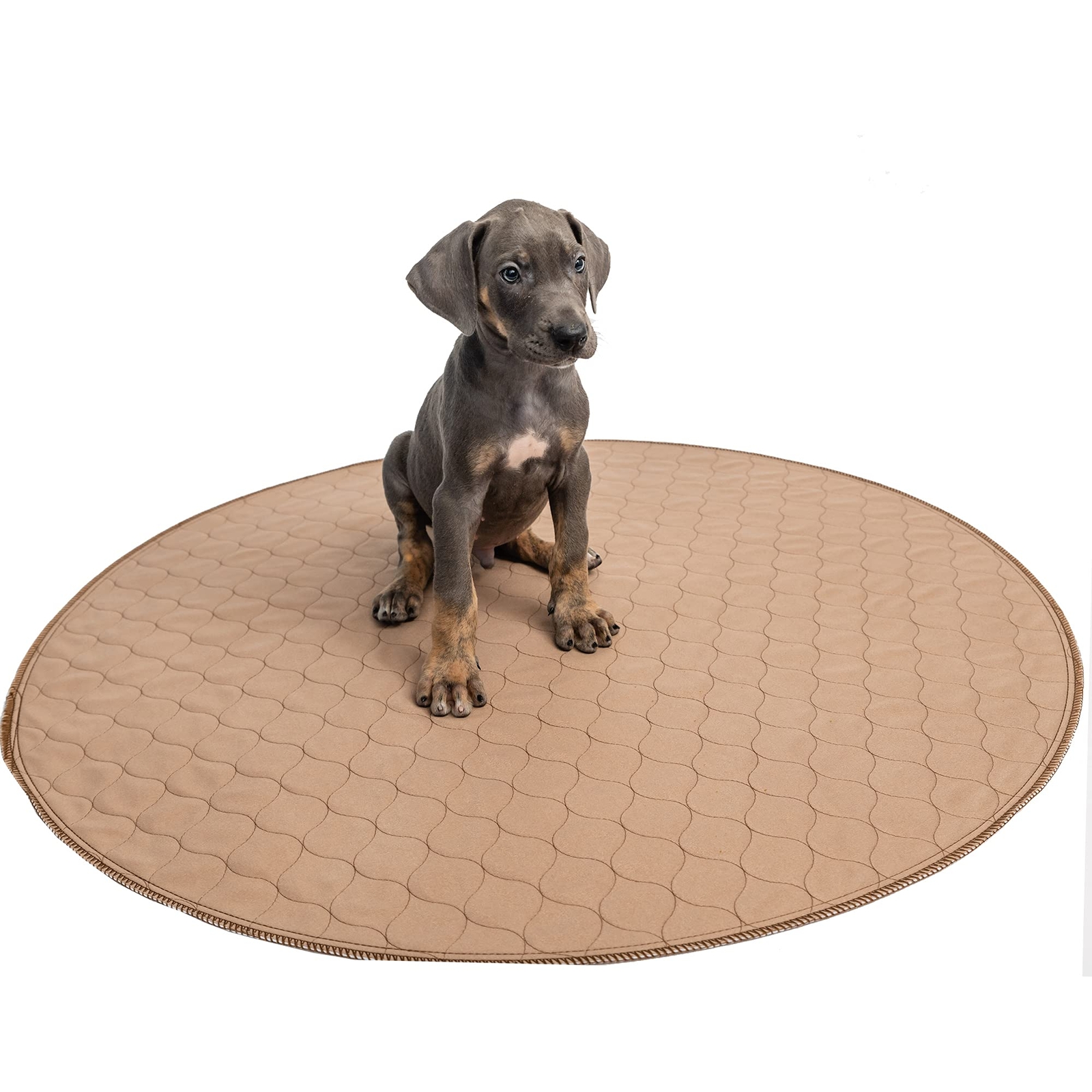 60 Inch Round Reusable Dog Pee Pad Washable Waterproof Potty Whelping Mat
