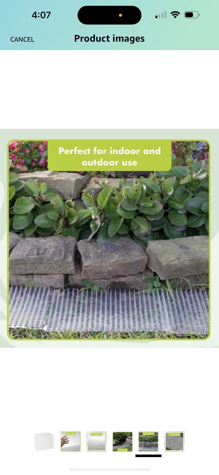 Pet Deterrent Plastic Mat w/spikes 6 Pack