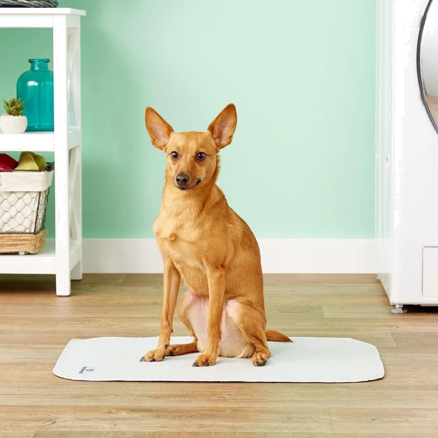 Pawtect Pads Washable Dog Pee Pads 2pack of 18×24 Pee Pads for Dogs, Waterpr…