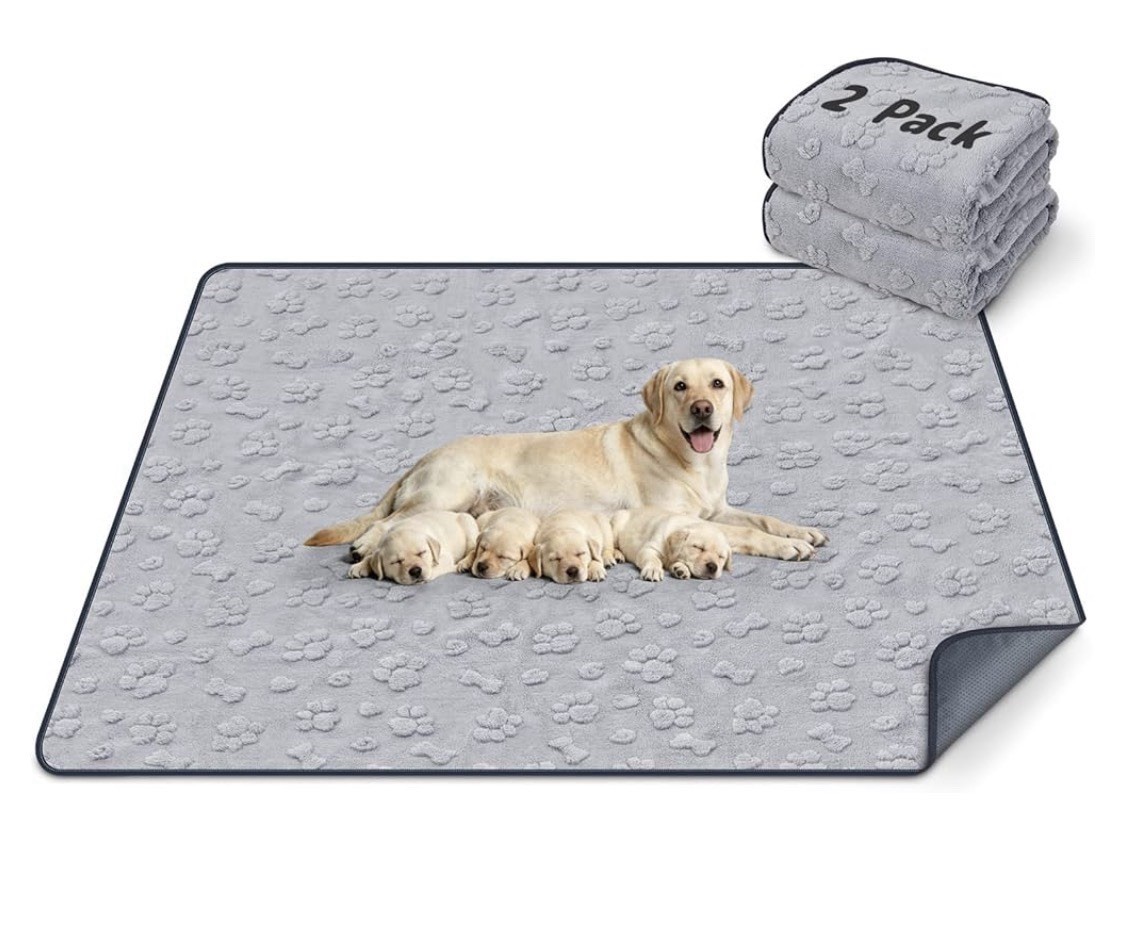 LOOBANI Washable Pee Pads for Dogs 36″x48″, 2 Packs Extra Large